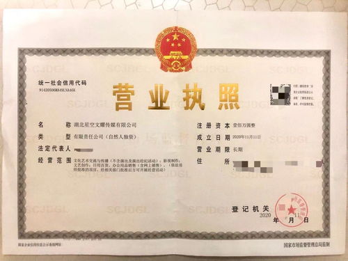 星空文耀 專業(yè)工商注冊實(shí)體工作室，高價(jià)收購飛盧太監(jiān)書及財(cái)務(wù)咨詢